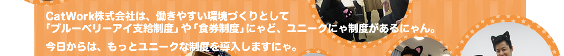 ユニークな制度が増えるにゃ！